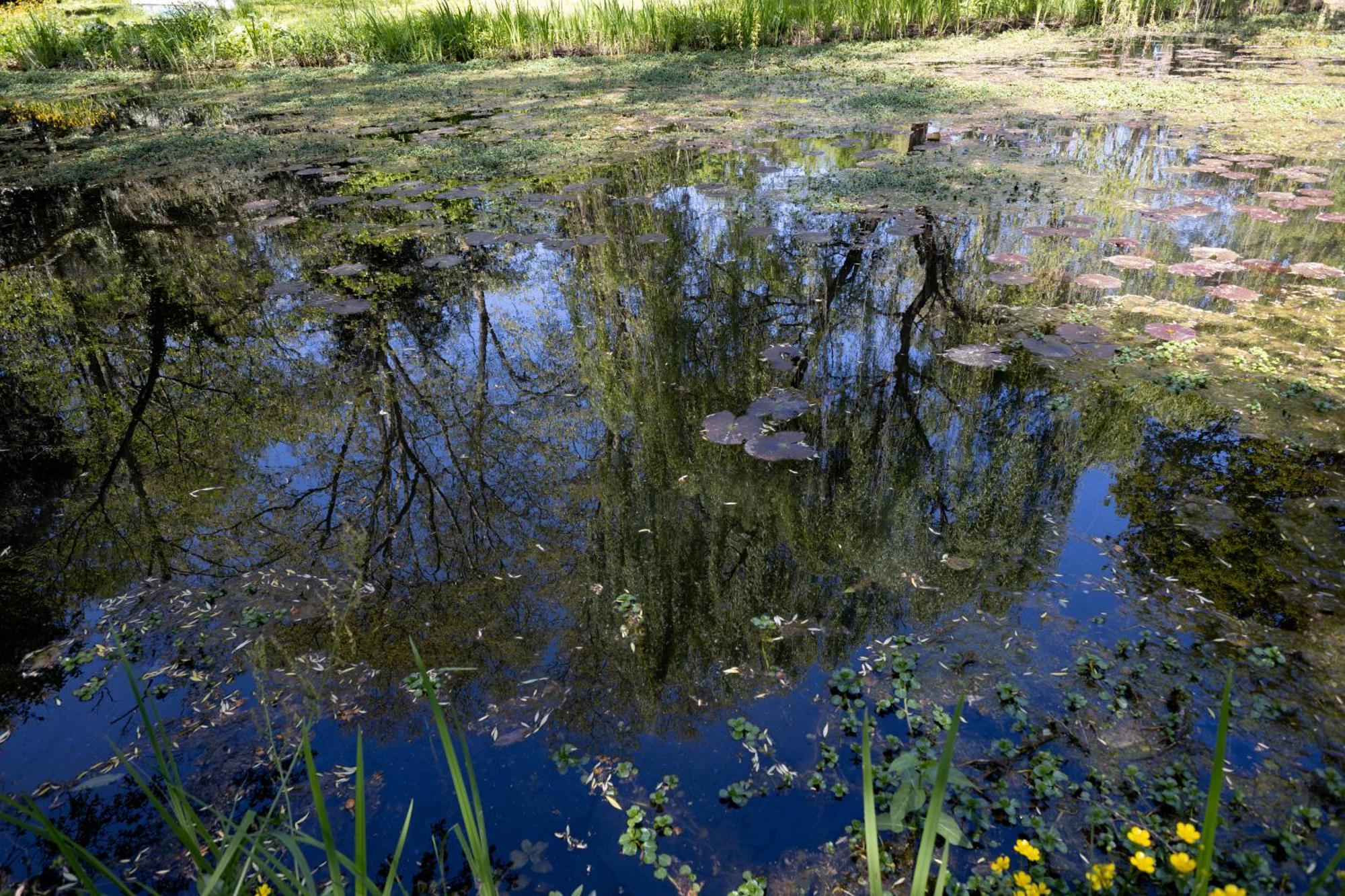 Il Casale Di Villa Rossi Lucca Eksteriør bilde